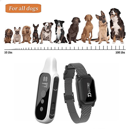 Digital Dog Training Collar